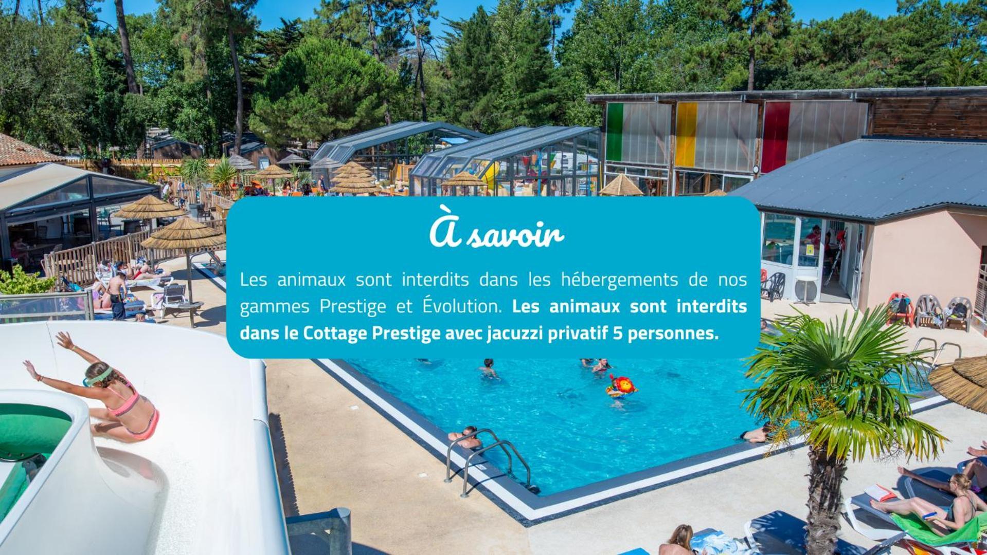 Camping Signol Boyardville Luaran gambar